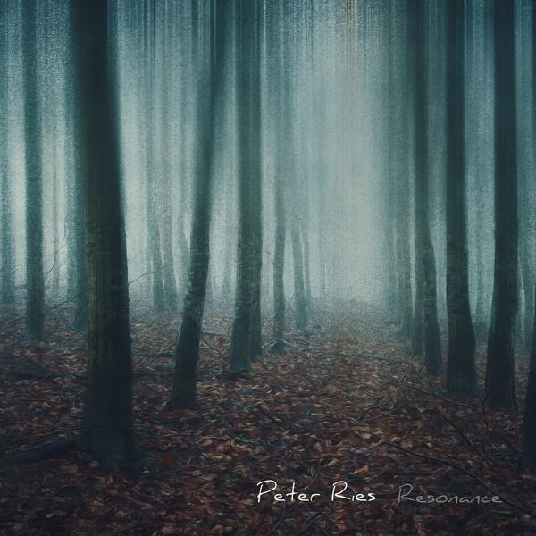 Обложка песни Peter Ries - Resonance