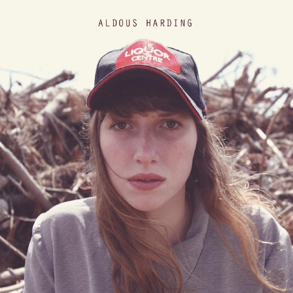 Обложка песни Aldous Harding - Stop Your Tears