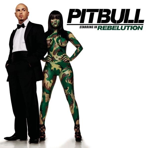 Обложка песни Pitbull - I Know You Want Me (Calle Ocho)