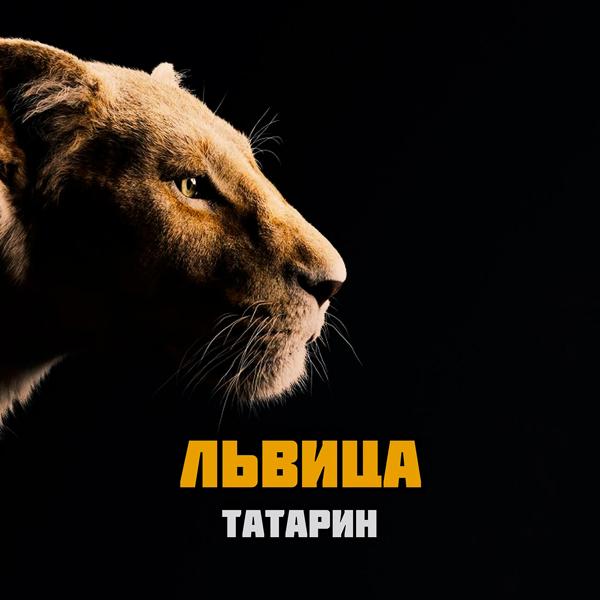 Обложка песни Татарин - Львица
