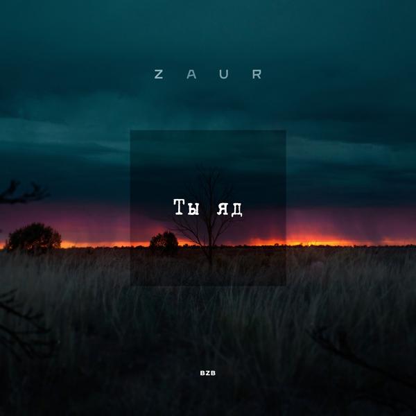 Обложка песни Zaur - Ты яд
