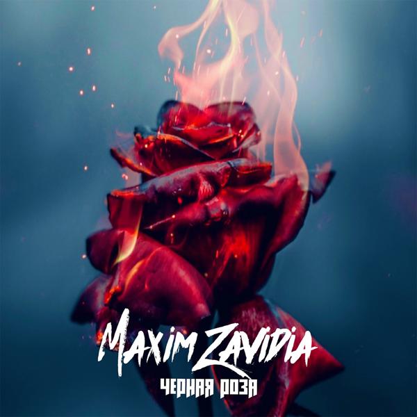 Обложка песни Maxim Zavidia - Чёрная роза