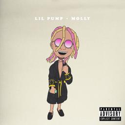 Обложка песни Lil Pump - Molly