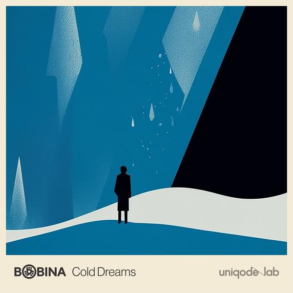 Обложка песни Bobina - Cold Dreams