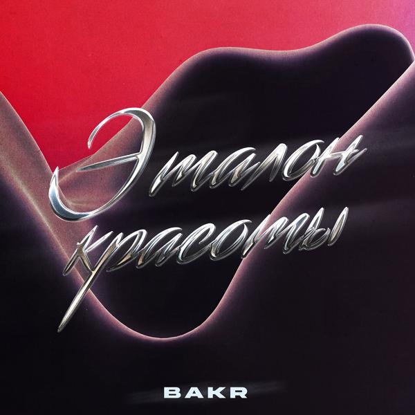 Обложка песни Bakr - Эталон красоты