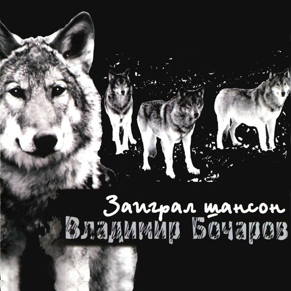 Обложка песни Владимир Бочаров - Жучка