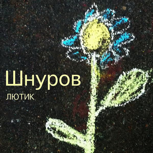 Обложка песни Сергей Шнуров - Ты охуительна