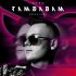 Обложка трека Kolya Funk - Tamdadam (VIP Mix)