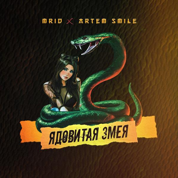 Обложка песни MriD, Artem Smile - Ядовитая змея