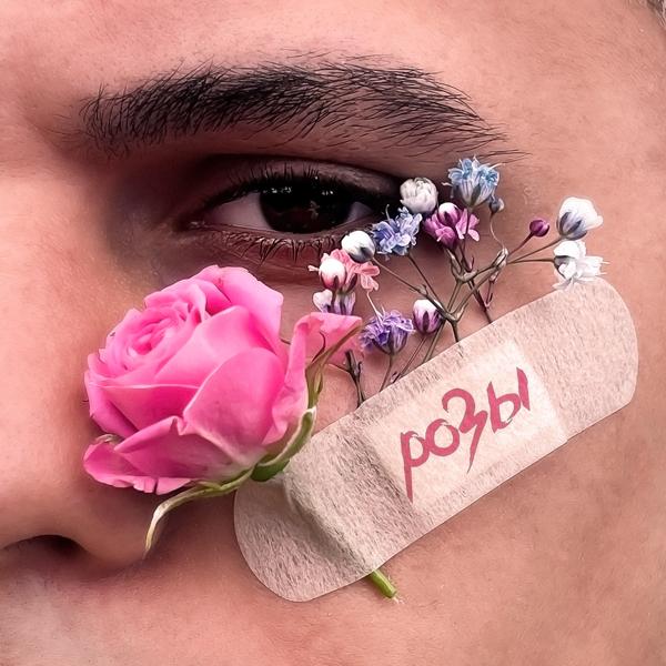 Обложка песни SUBO - Розы