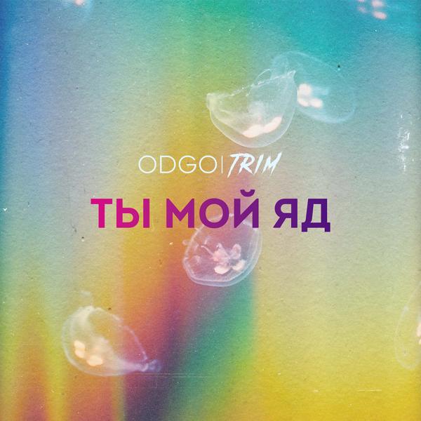 Обложка песни ODGO, Trim - Ты мой яд