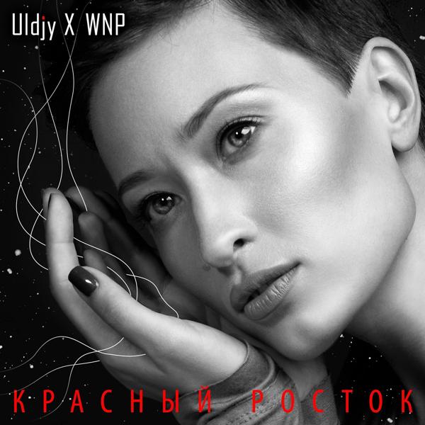 Обложка песни Uldjy, WNP - Красный росток