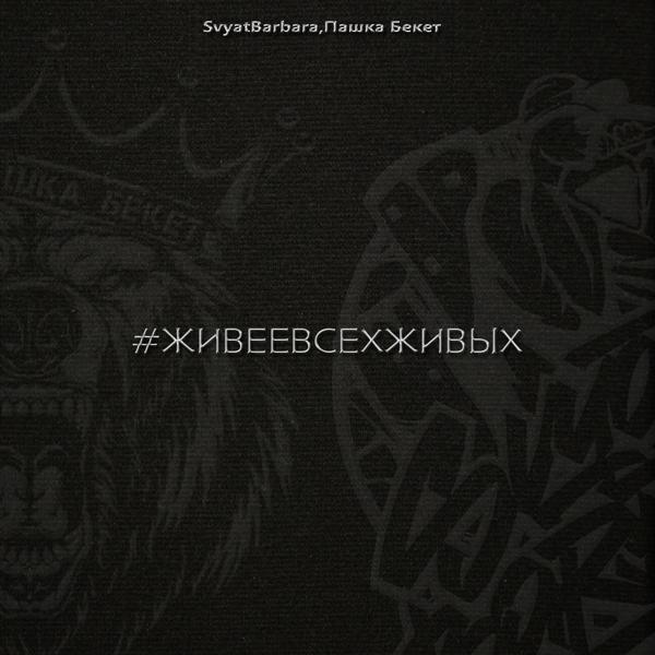Обложка песни Svyat Barbara, Пашка Бекет - #живеевсехживых
