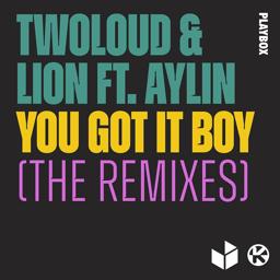 Обложка песни twoloud, Lion, Aylin - You Got It Boy (VIP Mix)