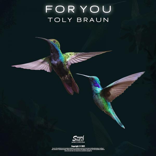 Обложка песни Toly Braun - For You