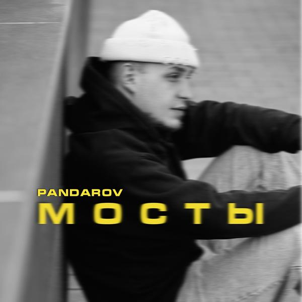 Обложка песни PANDAROV - Мосты (prod. by MOON SAFARI)