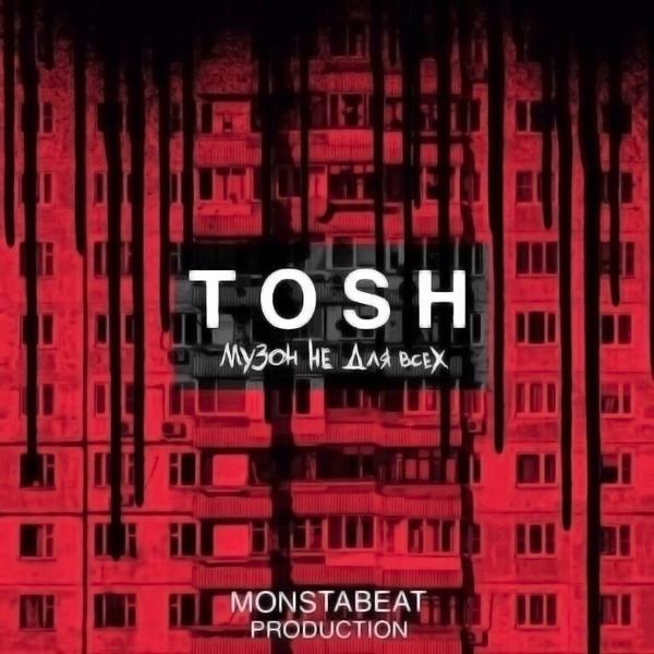 Обложка песни Tosh - Странное дело