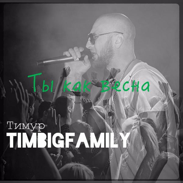 Обложка песни Тимур TIMBIGFAMILY - Ты как весна