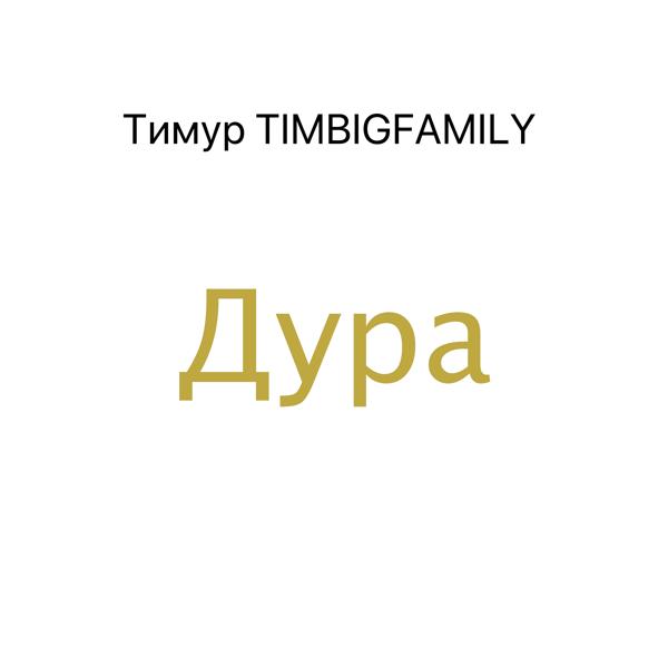 Обложка песни Тимур TIMBIGFAMILY - Дура