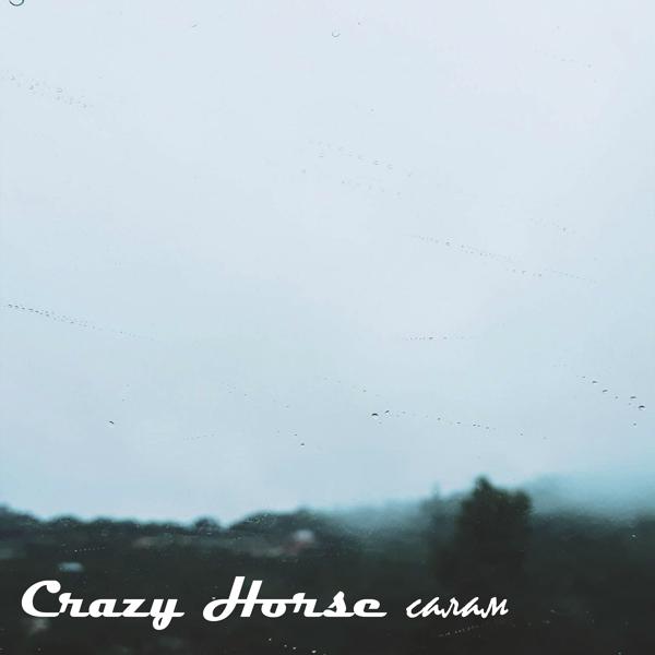 Обложка песни Crazy Horse - Салам