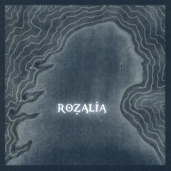 Обложка песни Rozalia - Окей