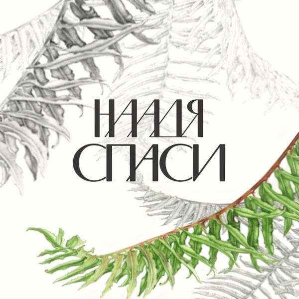 Обложка песни Наадя - Спаси (Live)