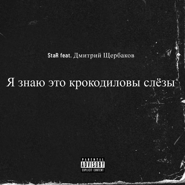 Обложка песни Star, Дмитрий Щербаков - Я знаю это крокодиловы слёзы