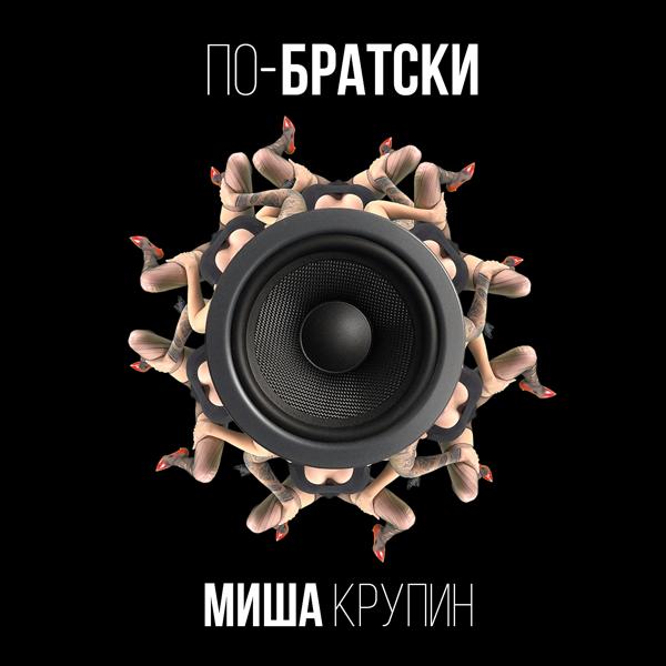 Обложка песни Misha Krupin - По-братски