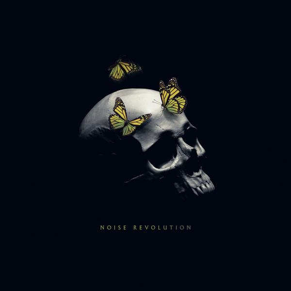 Обложка песни The Protest - Noise Revolution