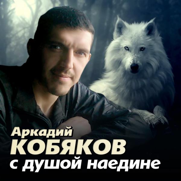 Обложка песни Аркадий Кобяков - Скрипач