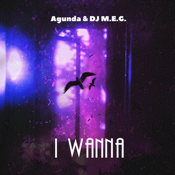 Обложка песни Agunda, DJ Meg - I Wanna