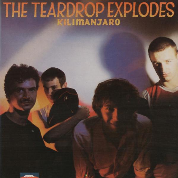 Обложка песни The Teardrop Explodes - Reward