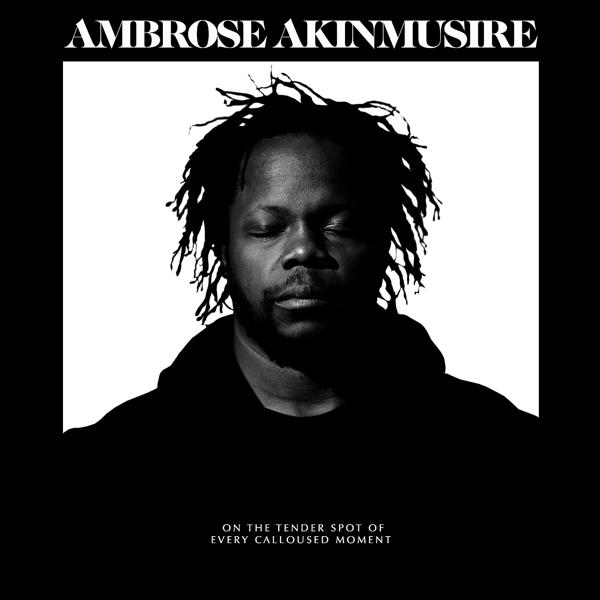 Обложка песни Ambrose Akinmusire - Roy