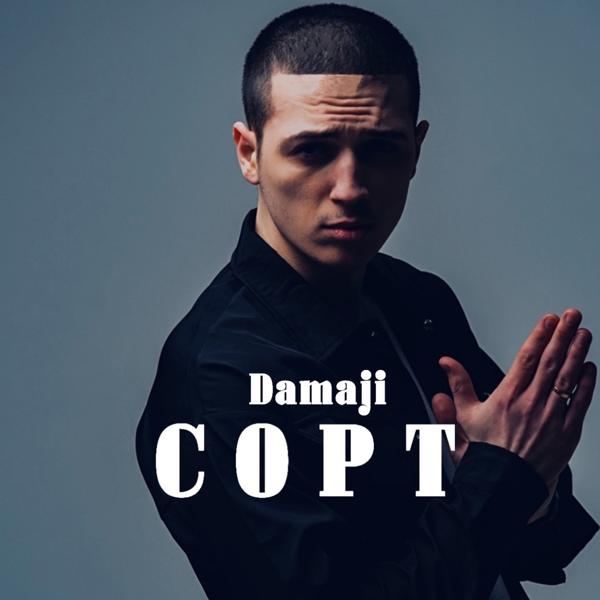 Обложка песни Damaji - Сорт