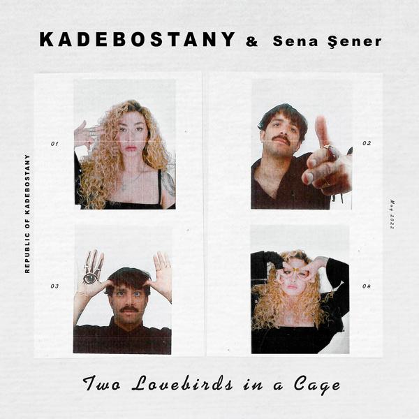 Обложка песни Kadebostany, Sena Şener - Two Lovebirds in a Cage