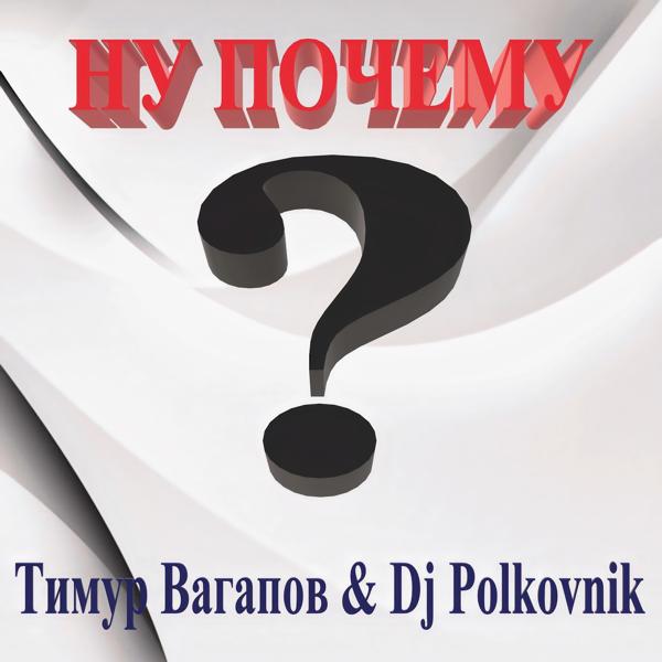 Обложка песни Тимур Вагапов, DJ Polkovnik - Ну почему?