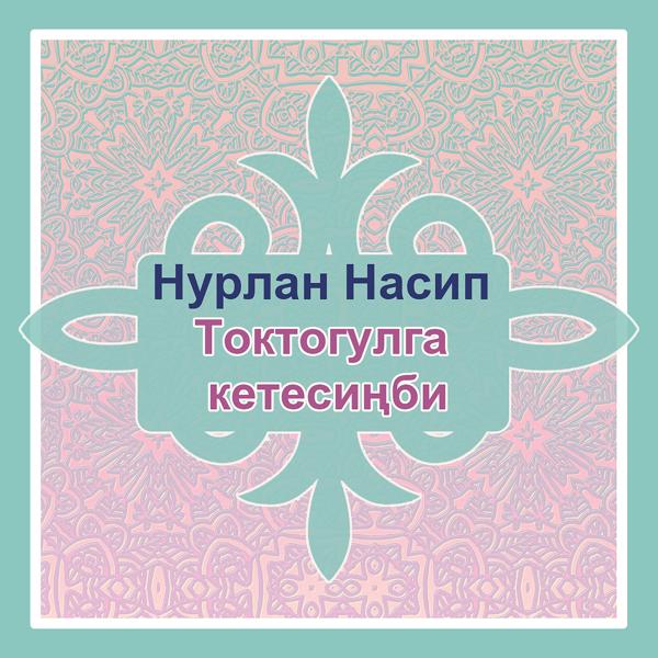 Обложка песни Нурлан Насип - Токтогулга кетесиңби