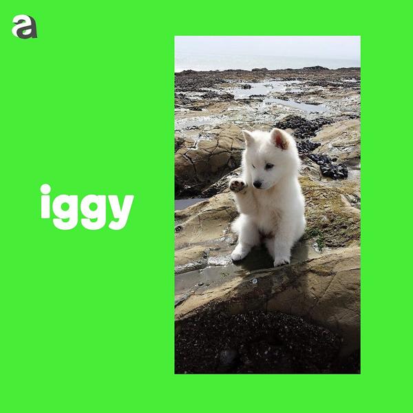 Обложка песни Iggy - Проснись