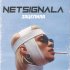 Обложка трека Netsignala - Зацепила (Acoustics)