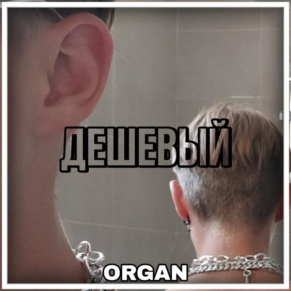 Обложка песни ORGAN - Дешëвый