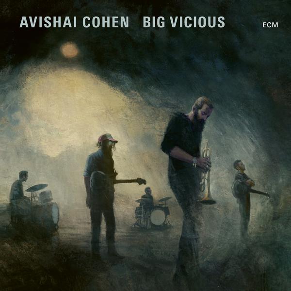 Обложка песни Avishai Cohen, Big Vicious - Teardrop