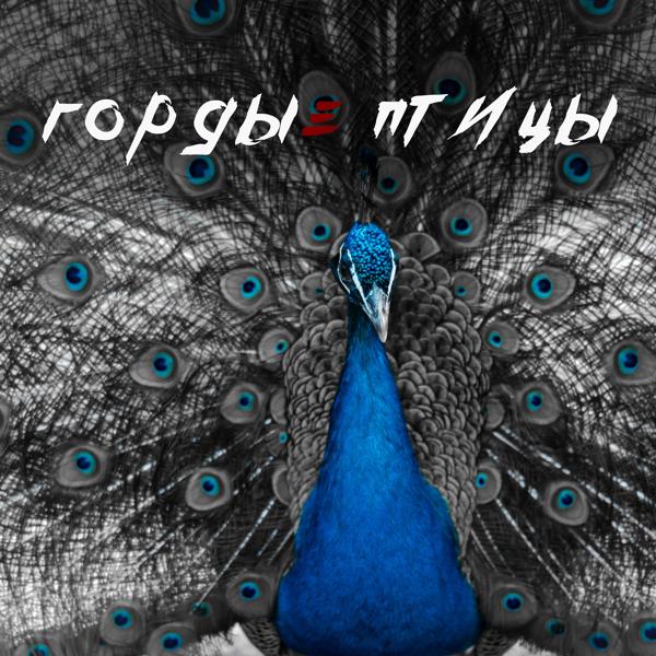 Обложка песни Mart Darmiru, Саша FRG - Гордые птицы