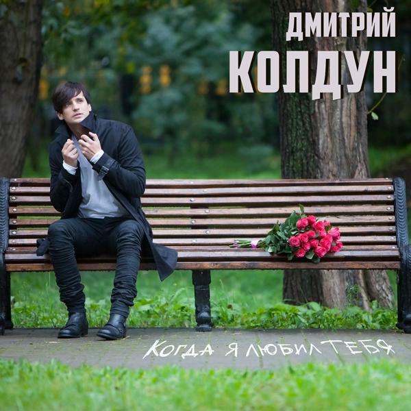 Обложка песни Дмитрий Колдун - Когда я любил тебя