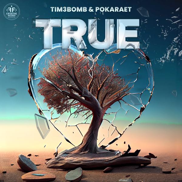 Обложка песни Tim3bomb, Pokaraet - True