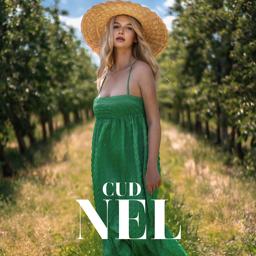 Обложка песни Nel - CUD