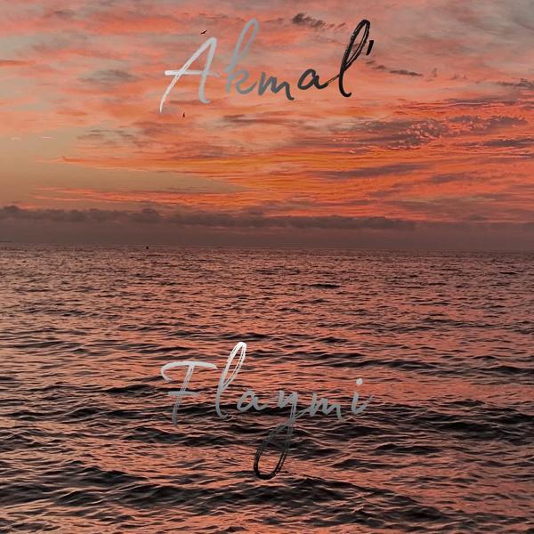 Обложка песни Flaymi, Akmal' - Из-за тебя (Remix)