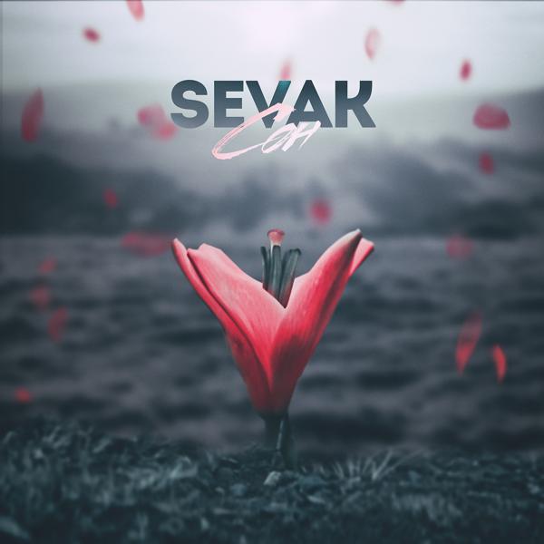 Обложка песни Sevak - Сон