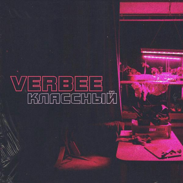 Обложка песни VERBEE - Классный