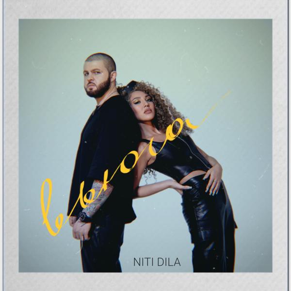 Обложка песни NITI DILA - Вьюга