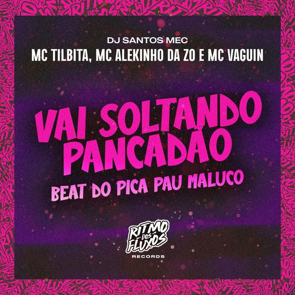 Обложка песни DJ Santos MEC, MC Tilbita, Mc Vaguin, MC Alekinho da ZO - Vai Soltando Pancadão - Beat do Pica Pau Maluco